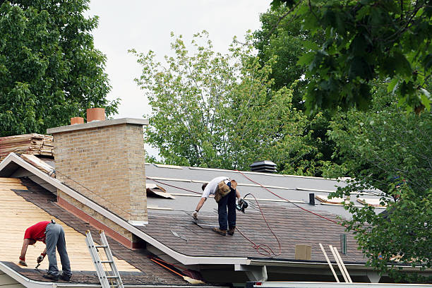 Best Storm Damage Roof Repair  in Toona, AL